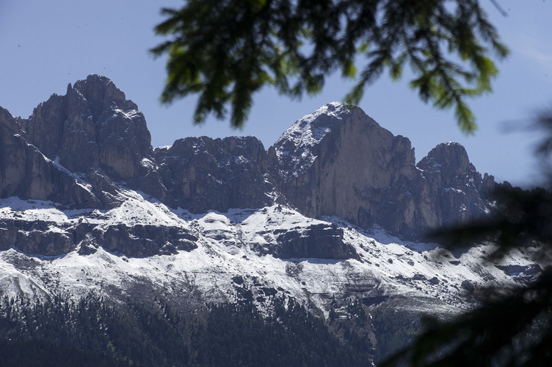 Rosengarten 02.jpg